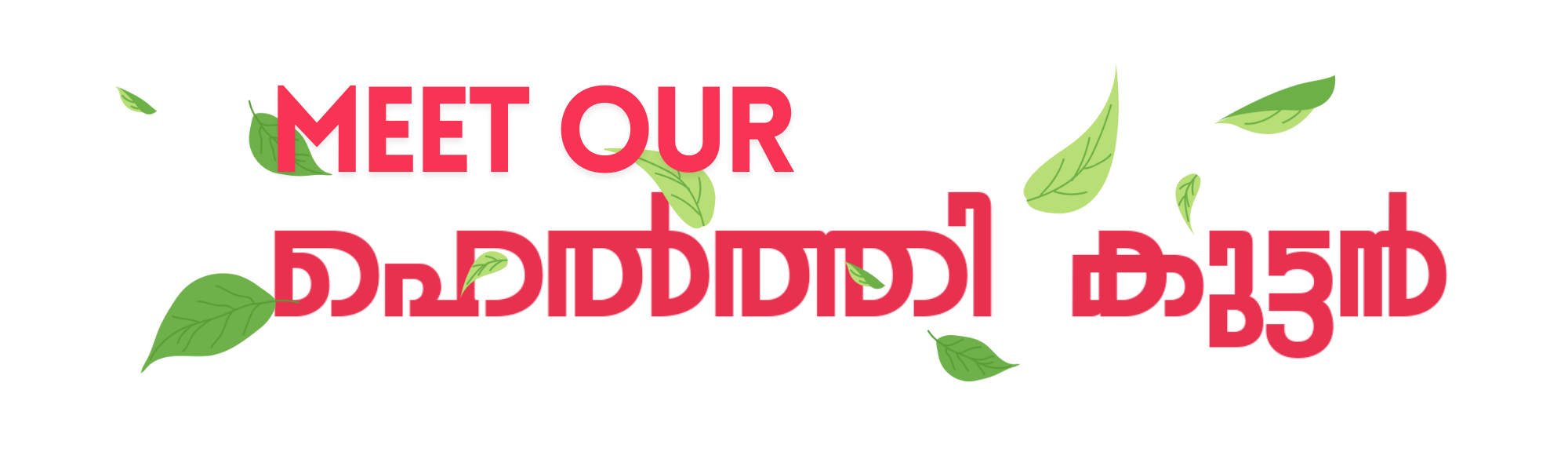 Healthy Kuttan
