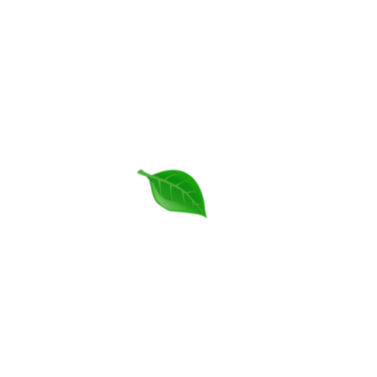 leaf