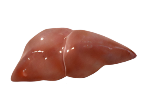Chicken Liver